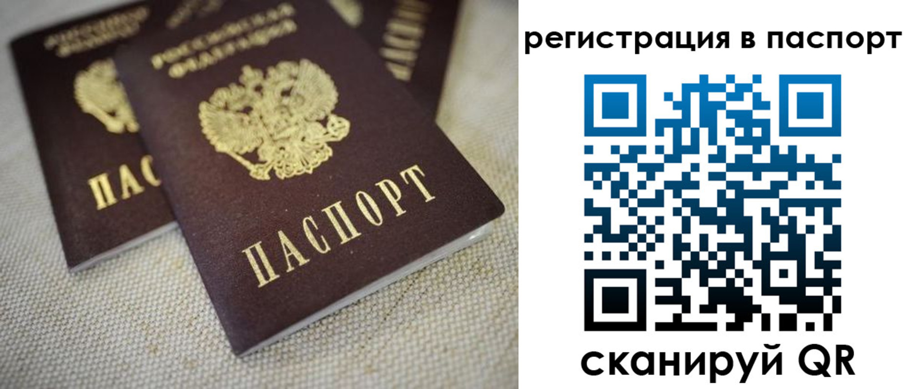 прописка гарантия в Липецкая области